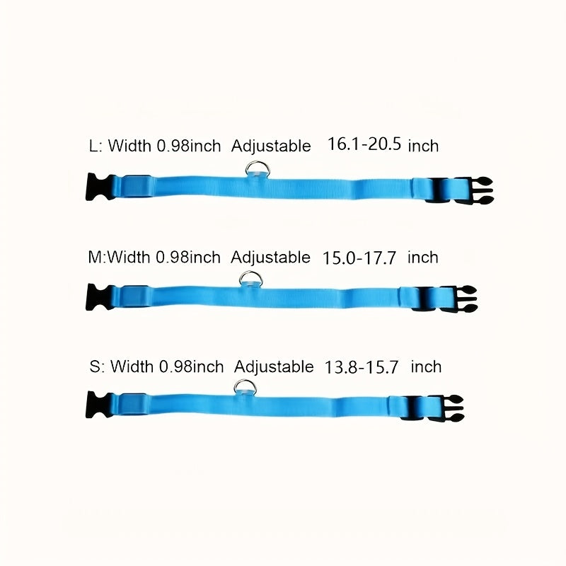 Collier lumineux ajustable pour chien | Promenade nocturne