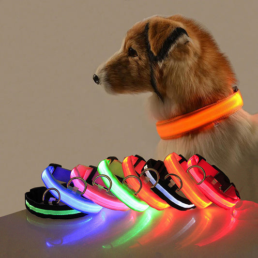 Collier lumineux ajustable pour chien | Promenade nocturne