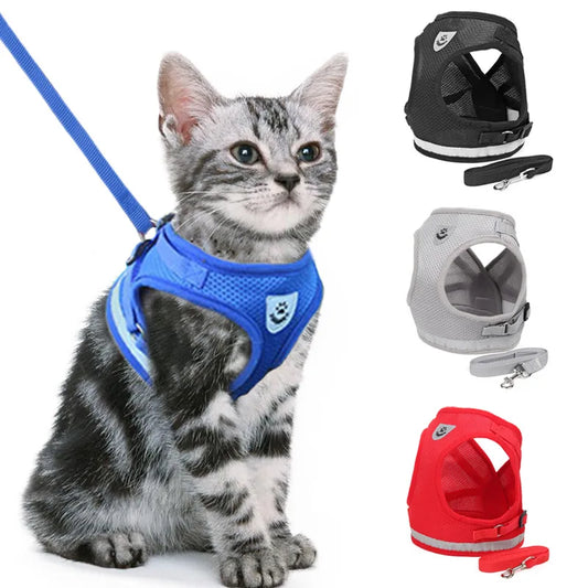 Ensemble Harnais et Laisse pour Chat - Durable et Confortable