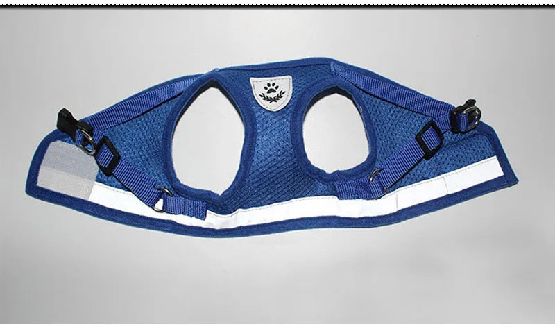 Ensemble Harnais et Laisse pour Chat - Durable et Confortable