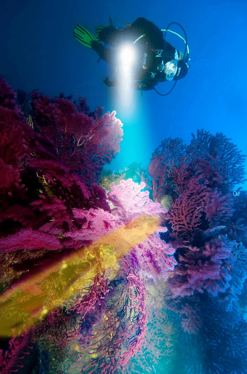 Lampe de poche de plongée XHP70 - Éclairage submersible puissant