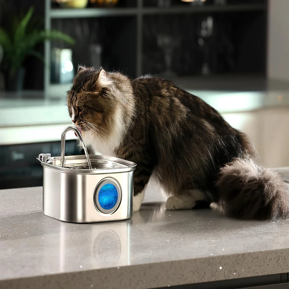 Distributeur d'eau automatique en acier inoxydable pour animaux de compagnie