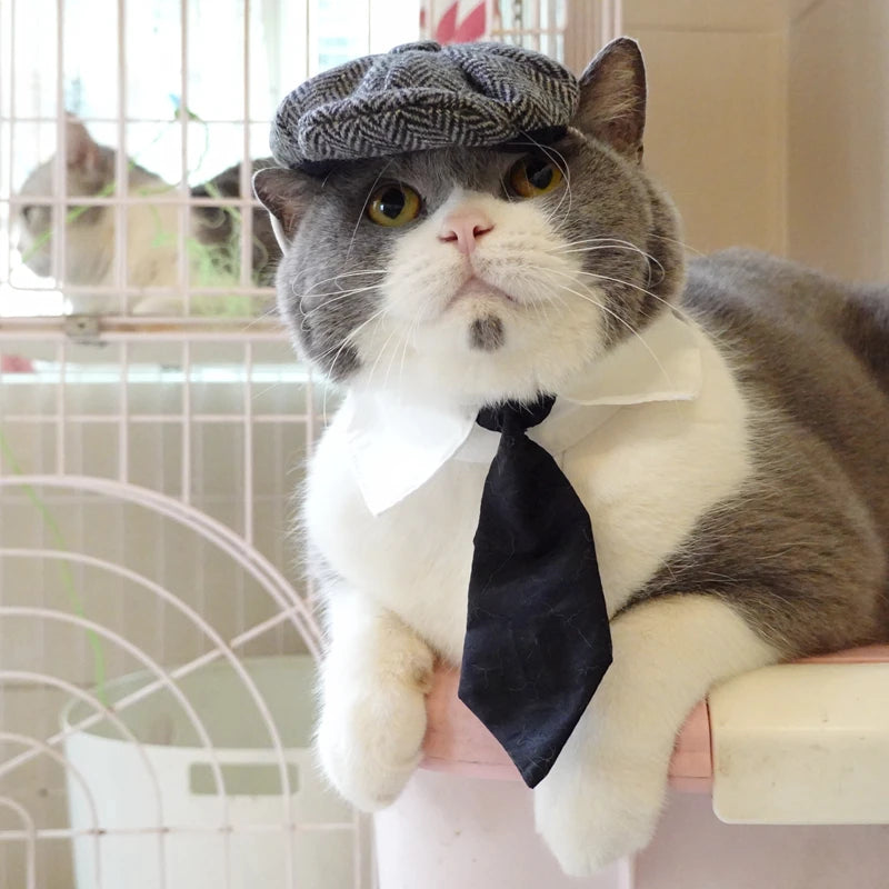 Chapeau drôle pour chat | Cosplay pour chat | Accessoire photo pour chat