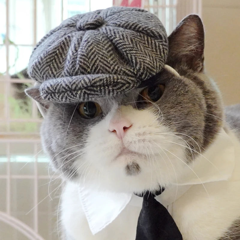 Chapeau drôle pour chat | Cosplay pour chat | Accessoire photo pour chat