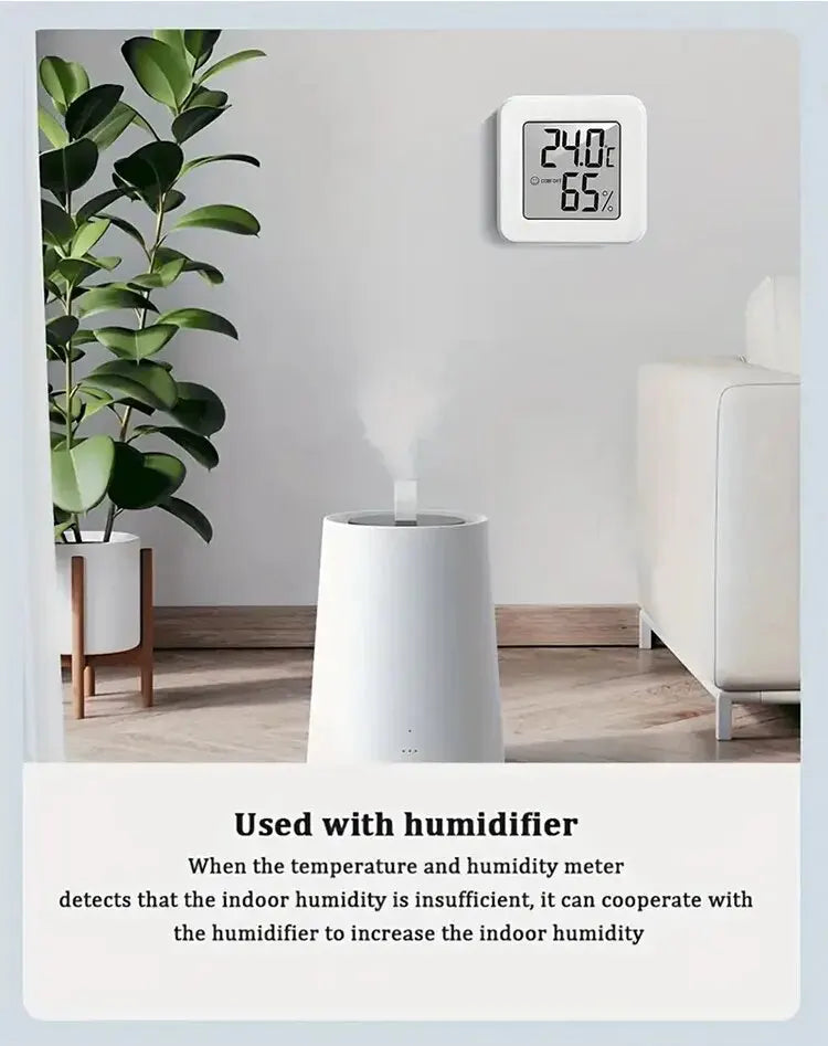 Mini Compteur de Température et d'Humidité d'Intérieur