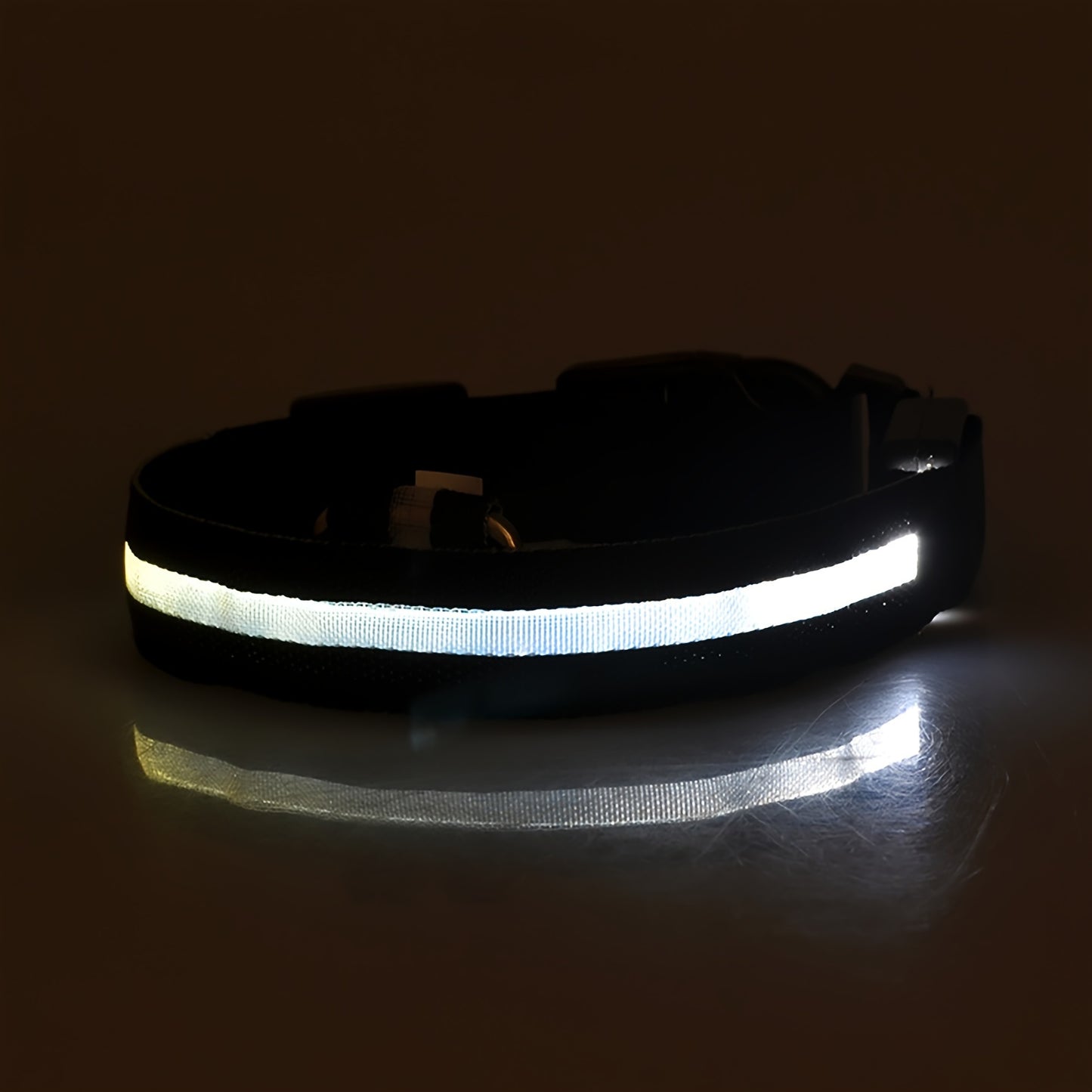 Collier lumineux ajustable pour chien | Promenade nocturne