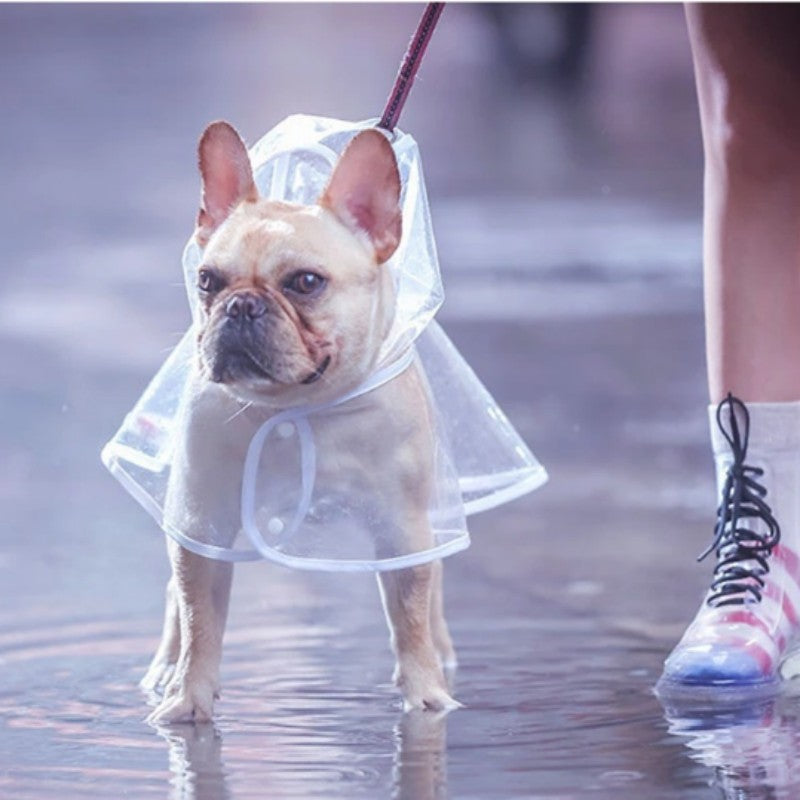 Imperméable à capuche durable pour chiens et chats - Parfait pour les activités de plein air